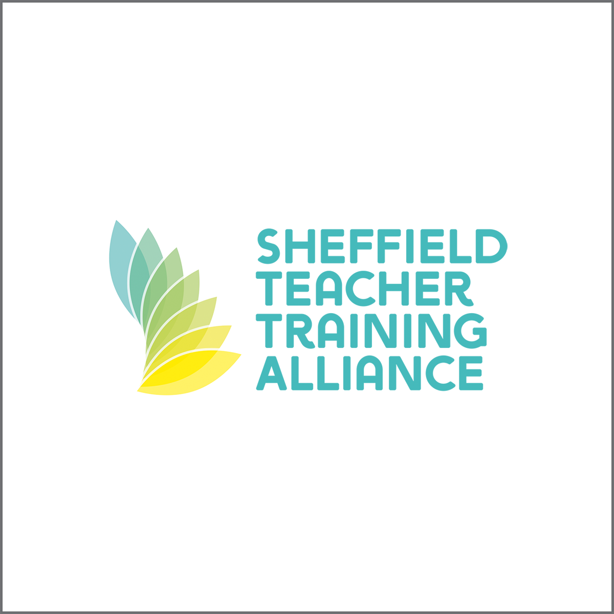 Sheffield Teacher Training Alliance logo and link to website